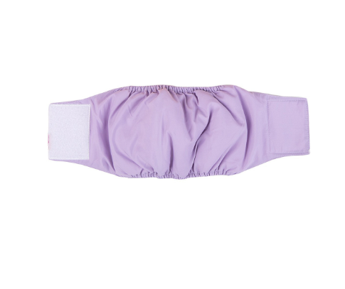 Washable Female Dog Diapers — Reusable Physiological Pants for Senior Dogs
