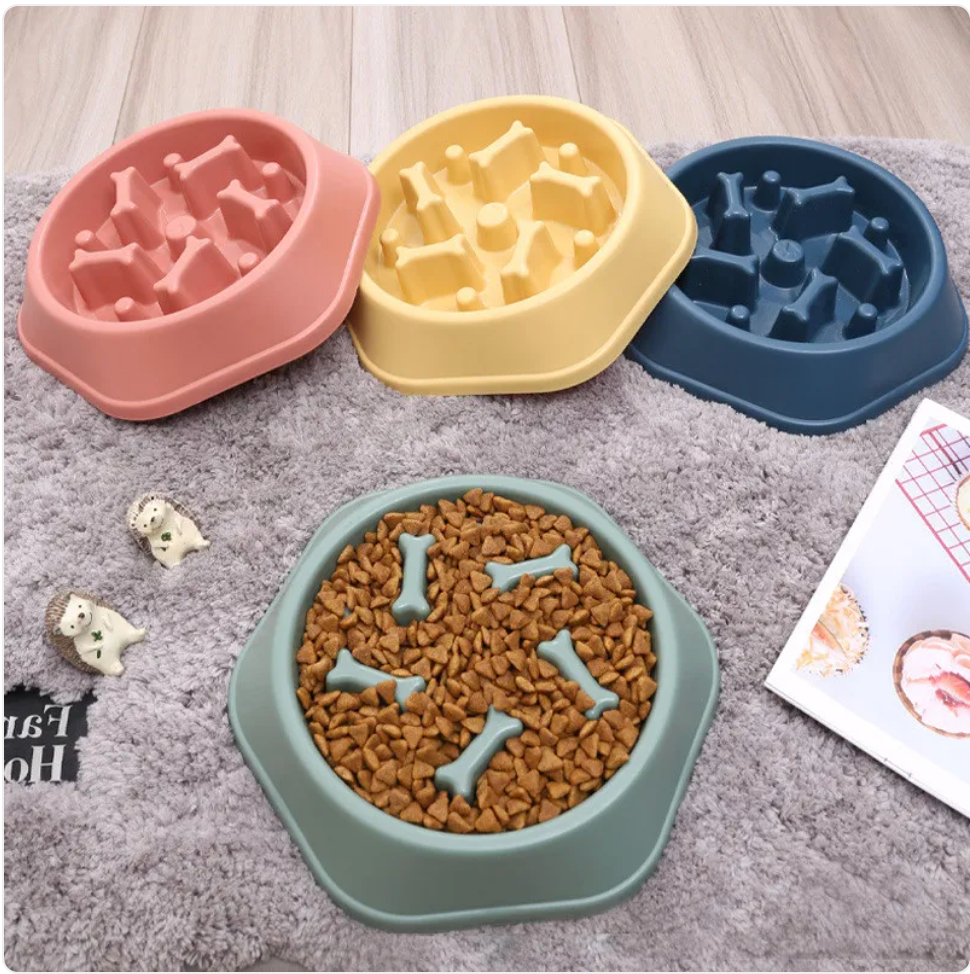Slow Feeder Dog Bowl — Anti-Bloat Puzzle Bowl for Senior Dogs & Cats