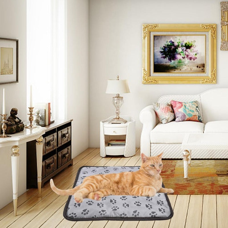 Heated Pet Blanket for Senior Dogs & Cats — Electric Warming Blanket